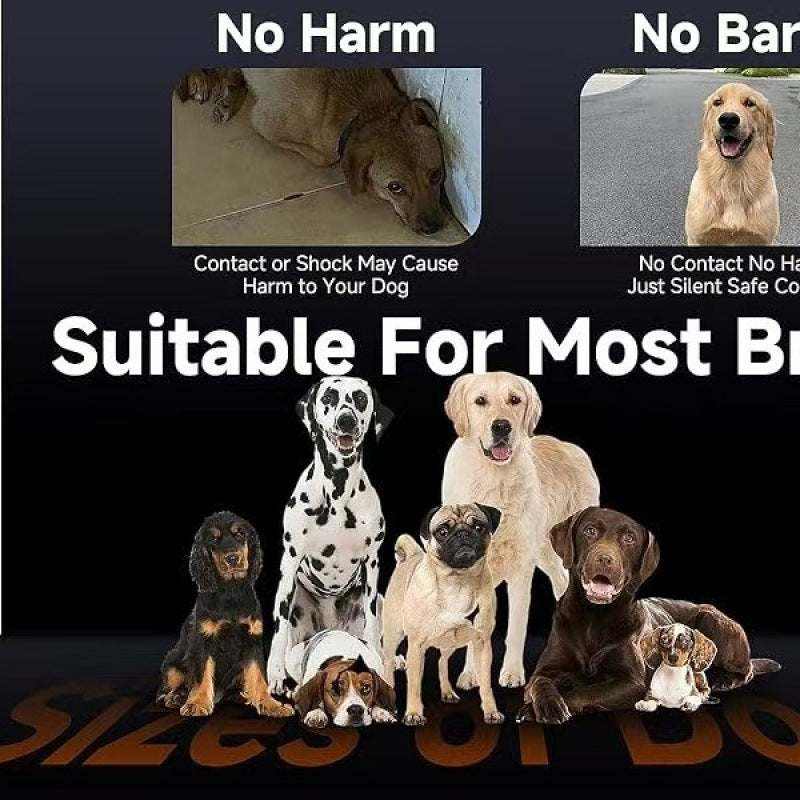 Ultrasonic Dog Training